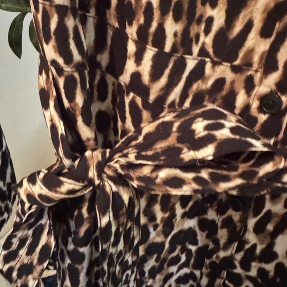 Banana Republic Leopard Print Midi Dress
Size 6 - Picture 10 of 12